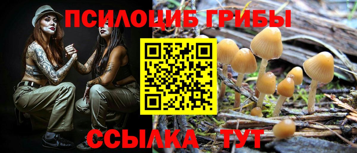 Заводоуковск  Псилоцибиновые грибы прущие грибы  Псилоцибиновые грибы Magic Shrooms  Вход с VPN 
